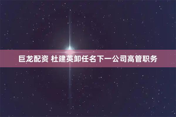 巨龙配资 杜建英卸任名下一公司高管职务